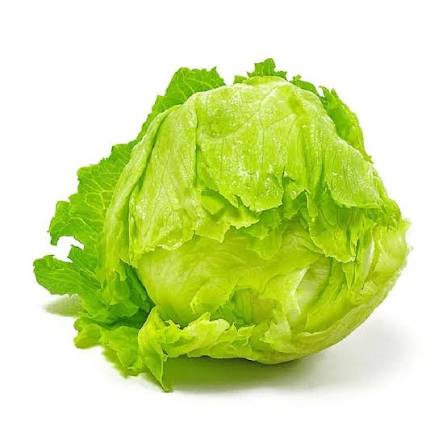 Fresh Ice Burg for sale in Karachi - Akhtar Sabir Fresh